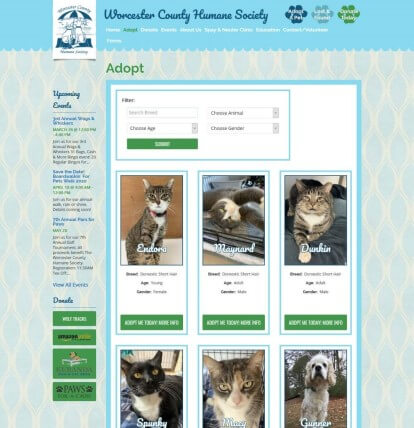 The top area of the Worcester County Humane Society animal adopt page